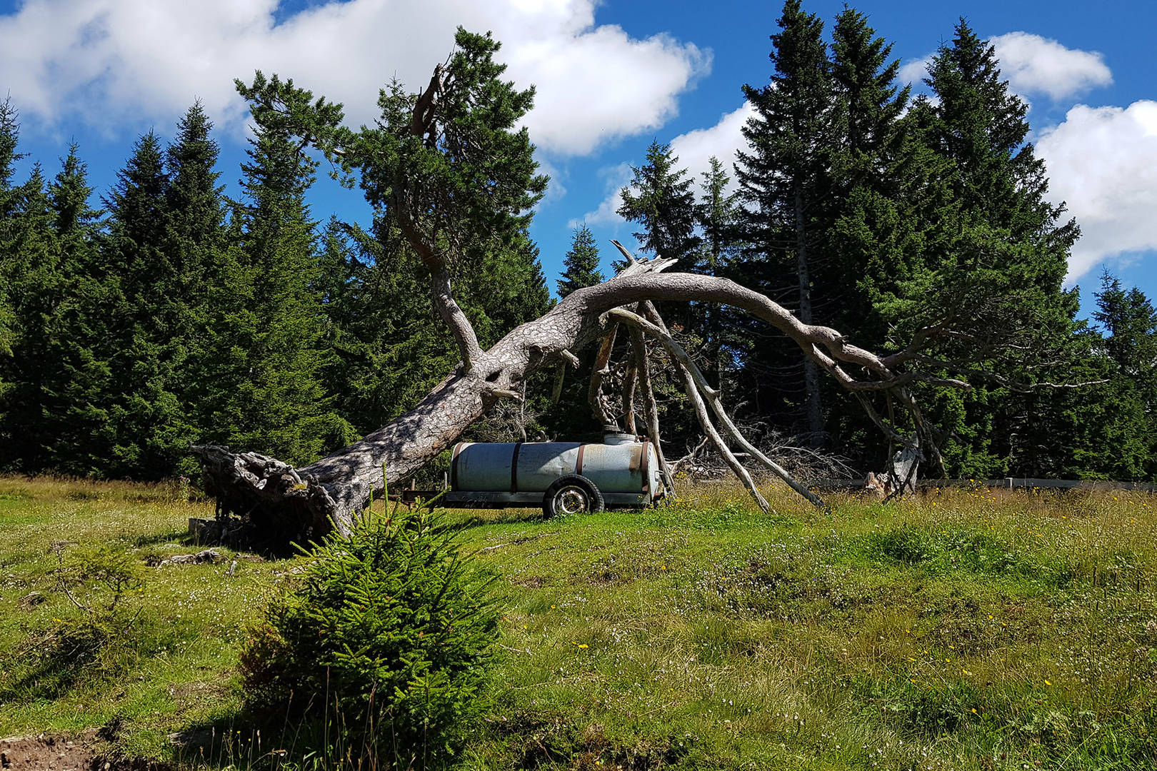 Sportlich voll im Trend beim Wandern